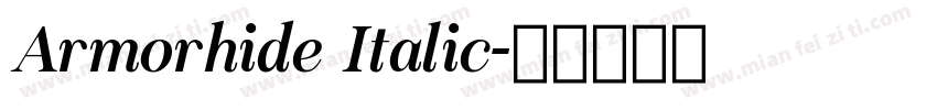 Armorhide Italic字体转换
